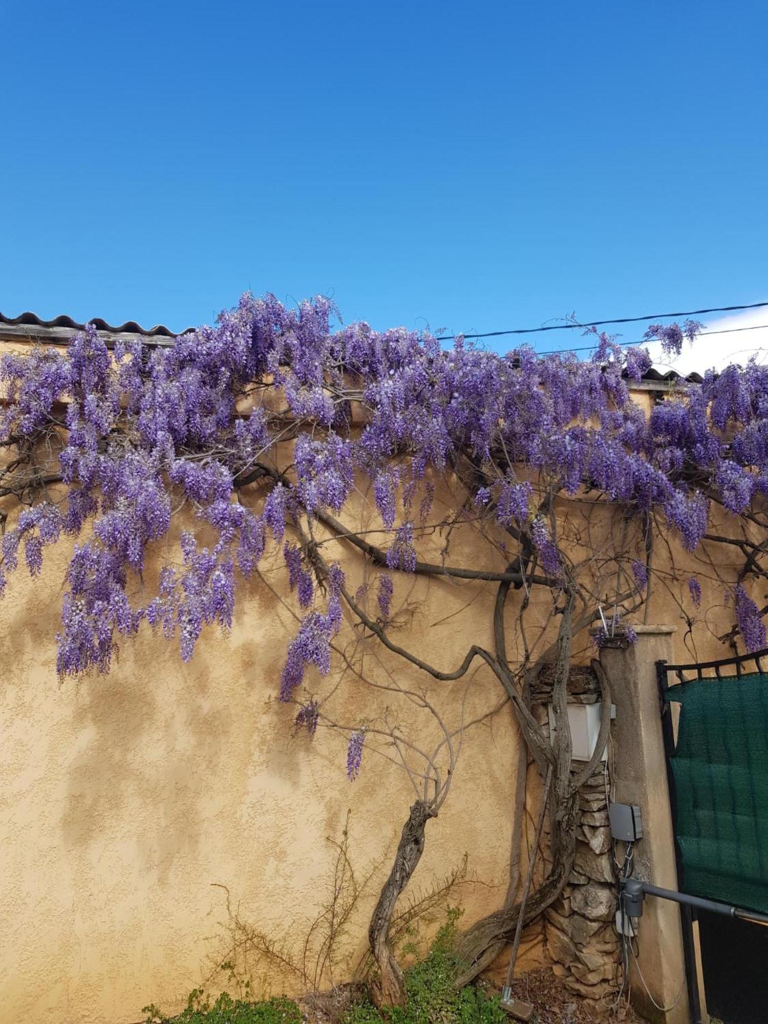 Cap Au Sud Sweet Home Ним Экстерьер фото